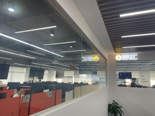 大虹橋園區 代理代辦服務的嶄新機遇不容忽視